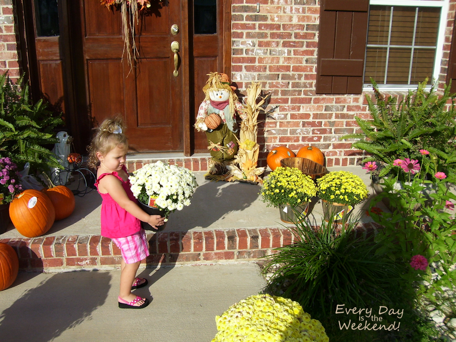 Every Day is the Weekend! : It's Fall Y'all!