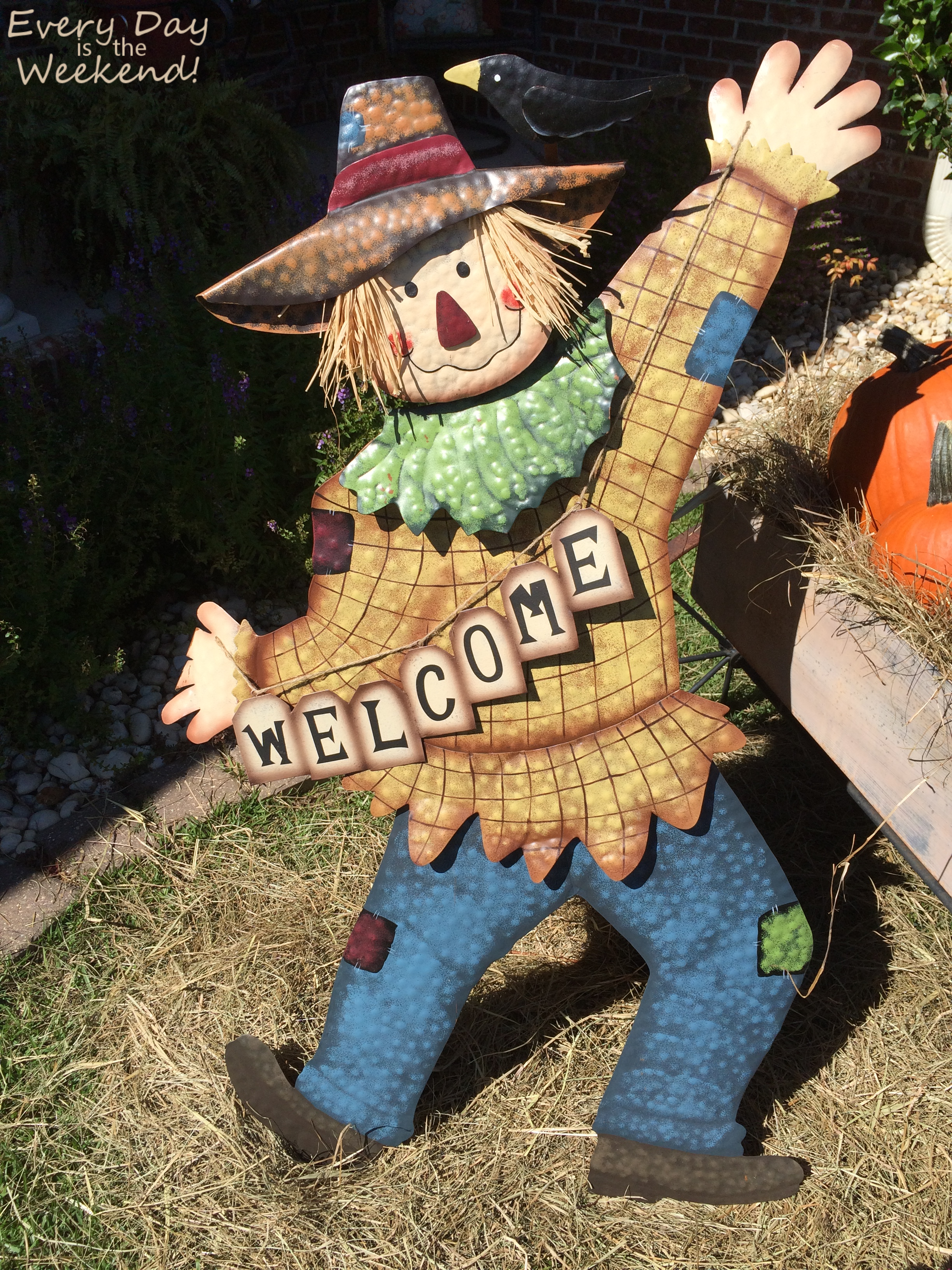 Every Day is the Weekend! It's Fall Y'all!