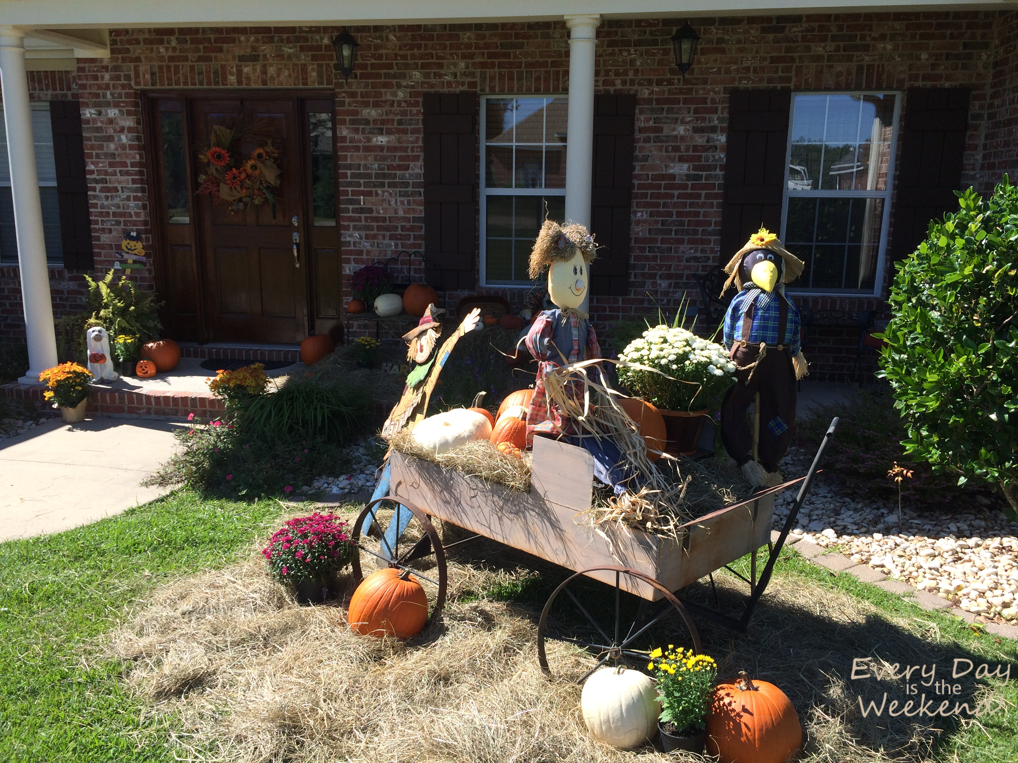 Every Day is the Weekend! It's Fall Y'all!