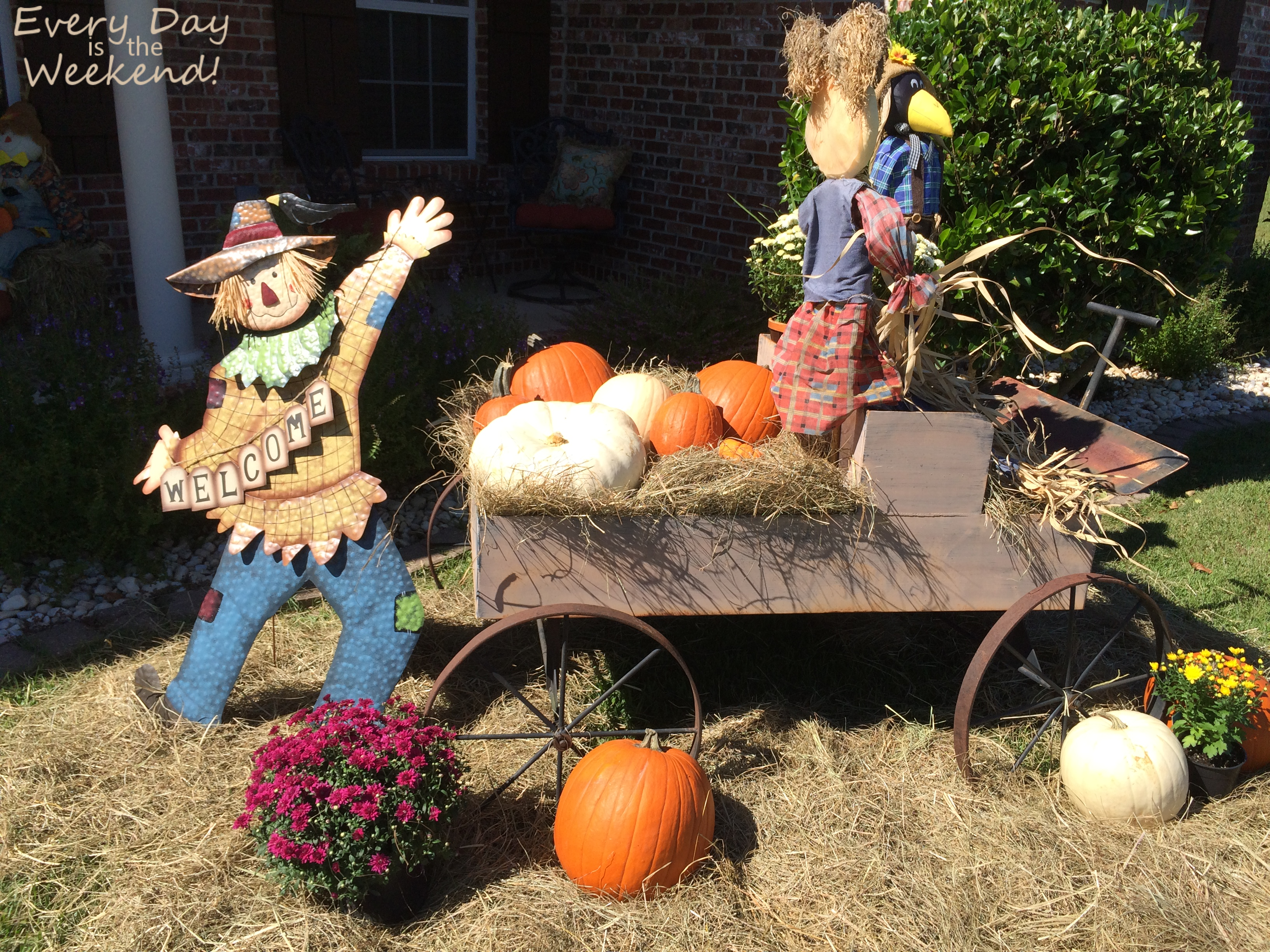 Every Day is the Weekend! It's Fall Y'all!