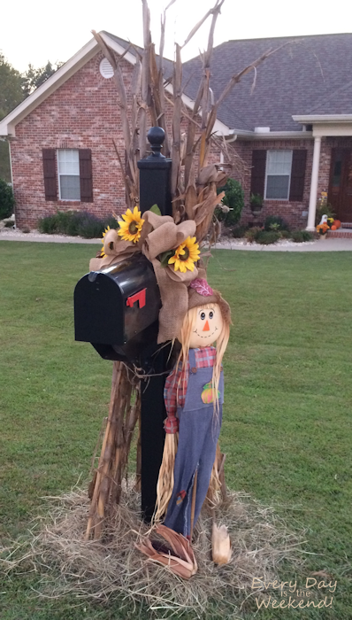 Every Day is the Weekend! : It's Fall Y'all!